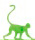 monkey